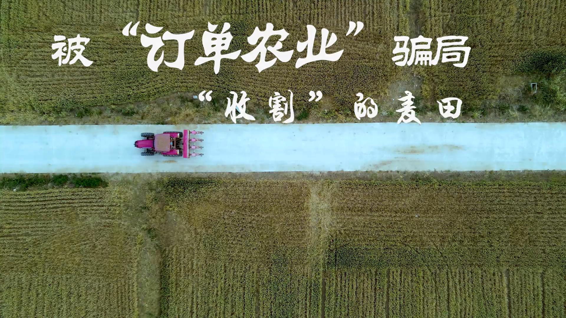 34.《被“订单农业”骗局“收割”的麦田》 农业部 揭露以“订单农业”为名行骗的真相，向群众宣传普及-封面.jpg